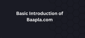 Basic Introduction of Baapla.com